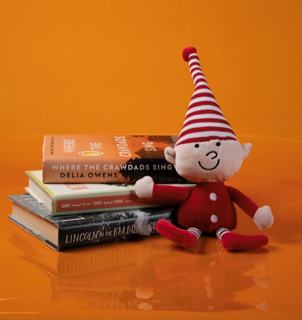 Behind the Scenes: A Whimsical Christmas Photoshoot with an Elf and Mouse